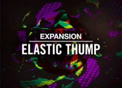 Native Instruments Native Instruments Maschine Expansion - Elastic Th